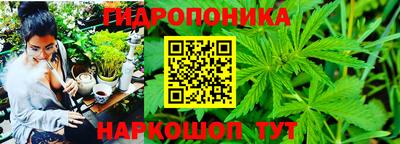 соль ск Аргун