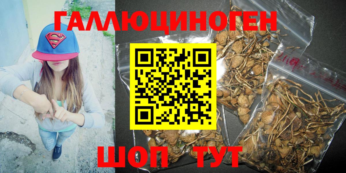 Псилоцибиновые грибы MAGIC MUSHROOMS  Усинск  Псилоцибиновые грибы Cubensis 