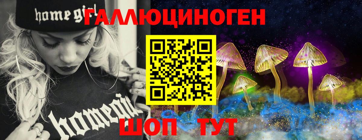 Псилоцибиновые грибы Psilocybine cubensis Усинск