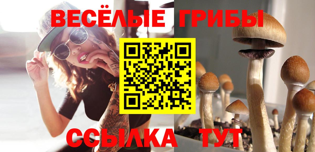Галлюциногенные грибы Psilocybine cubensis Усинск